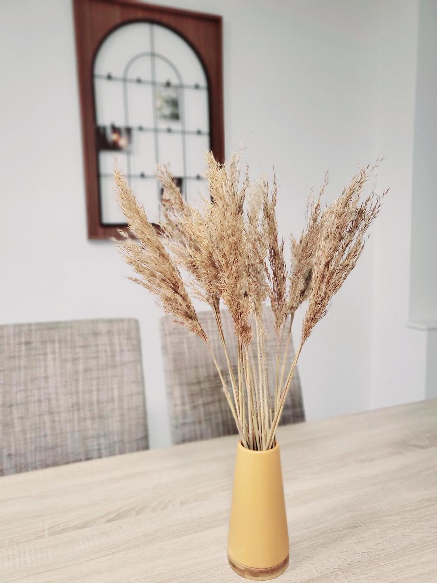 Le Chaleureux, 5Min Bale,Parking Apartment Saint-Louis  Luaran gambar